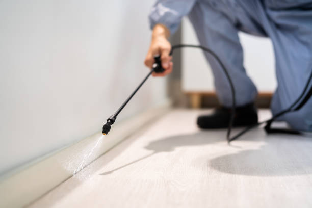 Licensed Cockroach Control service in Chesaning, MI - Nex Pest Control