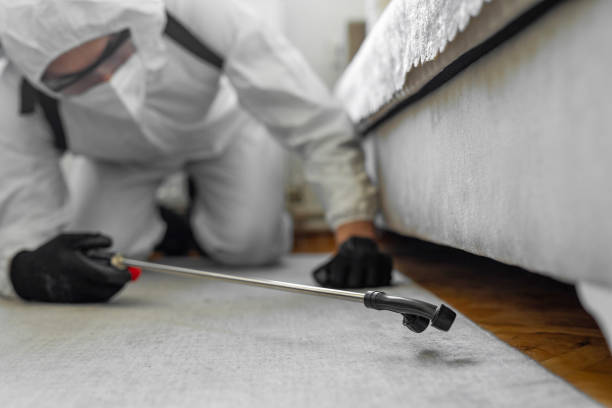 Professional Cockroach Control technician working in Chesaning, MI