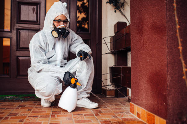 Reliable Cockroach Control contractor in Chesaning, MI by Nex Pest Control