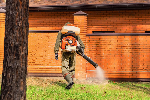 Top rated local Cockroach Control specialists in Chesaning, MI